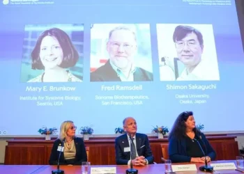 诺奖宣布后，获奖人「失联」启示：追求科学之光，亦勿忘生活之美