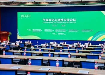 中国帮100多万非洲农户实现增产！「中国水稻亩产可达1000公斤，非洲当地常规稻亩产普遍不足200公斤」