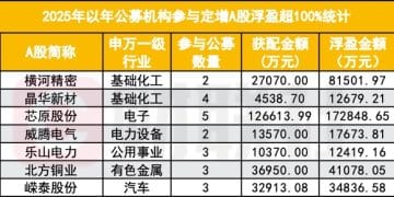 公募再成定增大户!今年来300亿公募资金入局定增 浮盈超百亿