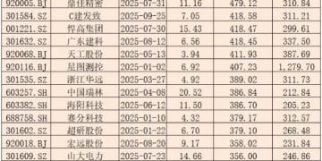 22股大涨超300%！新股赚钱效应飙升 最大「肉签」超6万元！