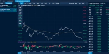 商品日报（10月20日）：二育升温生猪大幅反弹近3% 贵金属延续回调