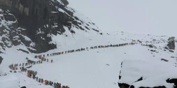 珠峰东坡暴雪近千人被困：徒步升温游客激增 高端团费用人均万元