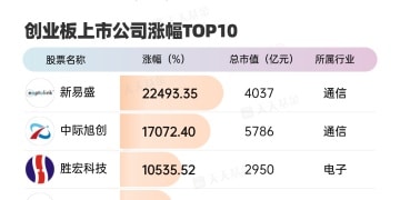 创业板开市16周年 涨幅前10公司分布在5个行业