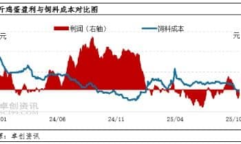 蛋价急跌成本难降 10-11月蛋鸡养殖或再陷亏损困局
