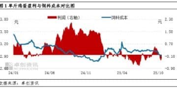 蛋价急跌成本难降 10-11月蛋鸡养殖或再陷亏损困局