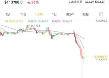 集体暴跌！超160万人爆仓 网友哀叹：我的交易生涯结束了