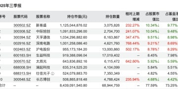 知名基金经理调仓动向曝光 下一个「风口」在哪里?