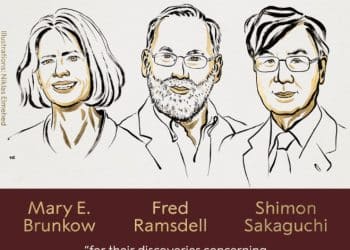 2025年首个诺贝尔奖揭晓！「开奖周」正式拉开帷幕