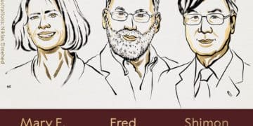 2025年首个诺贝尔奖揭晓！「开奖周」正式拉开帷幕