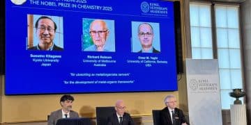 因金属有机骨架化合物领域贡献 3人获2025年诺贝尔化学奖