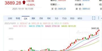 金价，新纪录！国内金饰最高达1130元/克！商家直言：「不敢轻易增加库存！」