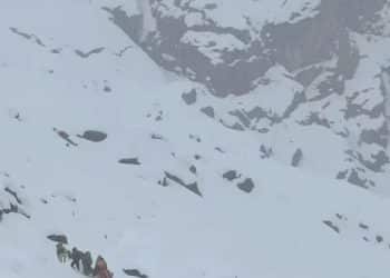 珠峰东坡突发暴雪，近千人被困！牦牛无法行动，帐篷被压垮，有人已出现失温；景区：数百人正上山铲雪，已有部分人被救下山