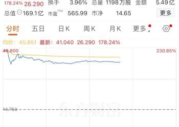 上市首日，这只股票一度涨超230%！发生了什么？