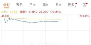 上市首日，这只股票一度涨超230%！发生了什么？