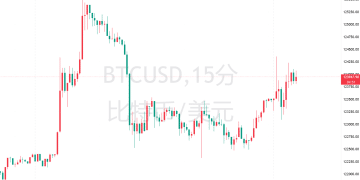 「贬值交易」火爆！比特币将历史新高刷新至12.5万美元以上