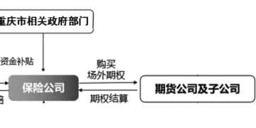 生猪「保险+期货」模式含金量凸显