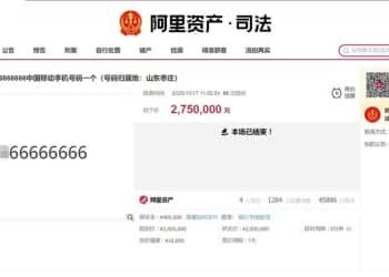 1**66666666，275万元；1***8888888，127万元！