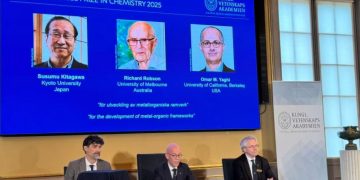 2025年诺贝尔化学奖揭晓，三位科学家获奖！将平分836万元奖金