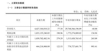 闻泰科技:三季度净利润增长279.29%!若安世控制权无法恢复,可能面临收入、利润下调风险