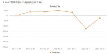 上市仅5年,上坤地产今日正式退市,公司仍在努力「留下来」