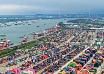 外贸城市变局：东莞杀回前五，杭州挑战青岛？