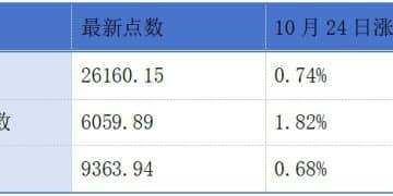 和辉光电、中伟股份、智汇矿业递表港交所;瑞博生物赴港上市获中国证监会备案通知书丨港交所早参