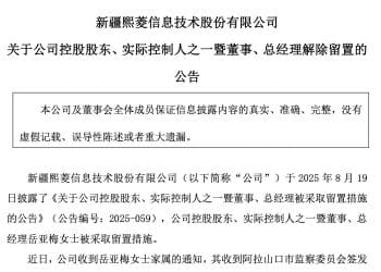 300588，总经理已解除留置！