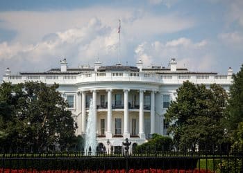 事关与美国谈判，加拿大总理、巴西总统最新表态！