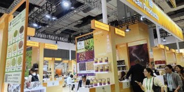 ​进博观察 | 从非洲进口羊肉到东盟自贸合作 进博会铺就全球南方发展快车道