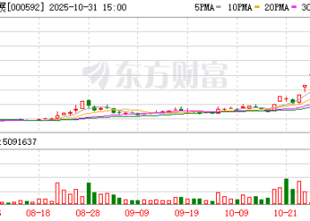 融资客大幅加仓！平潭发展11天8板！