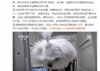 铁路12306 App购票页面上线「宠物托运」功能，全国40座高铁站可办理