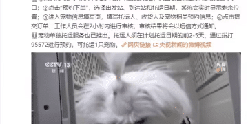 铁路12306 App购票页面上线「宠物托运」功能，全国40座高铁站可办理