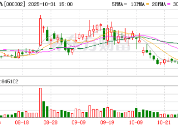 万科：深铁集团同意向公司提供本金总额最多220亿元贷款