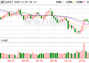 全球油市供应过剩担忧加剧 OPEC+同意明年一季度暂停增产