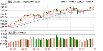 储能市场迎来拐点 社保重仓股曝光（附名单）