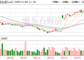 集运市场价格持续攀升 航运上市公司开辟新航线抢先机