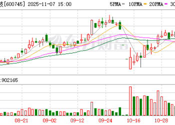 商务部新闻发言人就安世半导体问题答记者问