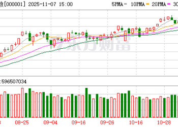 十大机构论市：慢牛趋势不变 两条思路布局明年景气预期