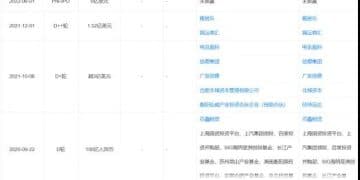 威马「复活」：幸存者还是续命者？