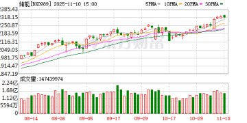 重磅政策！主力抢筹储能 押中多只大牛股(表格)