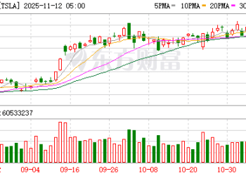 特斯拉「立志」成为AI股？分析师：目前成果为0 很难推荐！
