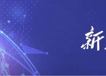 新华财经晚报：到2035年科技教育生态系统全面构建