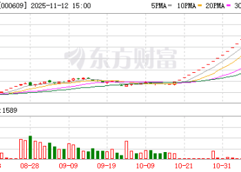 ST中迪：股票交易异常波动 自11月13日开市起停牌核查