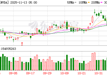 「大空头」宣布关闭基金并披露做空英伟达、Palantir细节