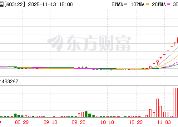 11月13日涨停复盘：104只股涨停 合富中国13天12板