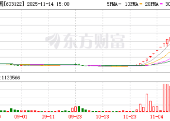 13天12板！合富中国：如果股价进一步异常上涨 可能申请停牌核查