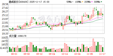 通威集团刘汉元：尽管低于预期 但仍对光伏行业自律的有效完成和实施充满信心