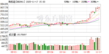 有机硅板块午后异动 主力资金和融资客都在加仓这些股