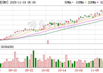 谁将成为AI浪潮最终赢家？投资者愈发挑剔 美光科技等获热捧