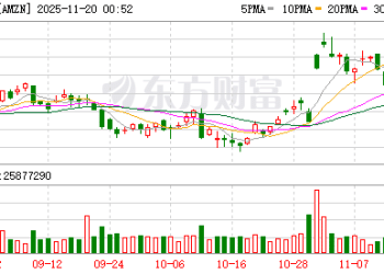 欧盟法院驳回亚马逊诉讼 维持对其「超大型在线平台」认定